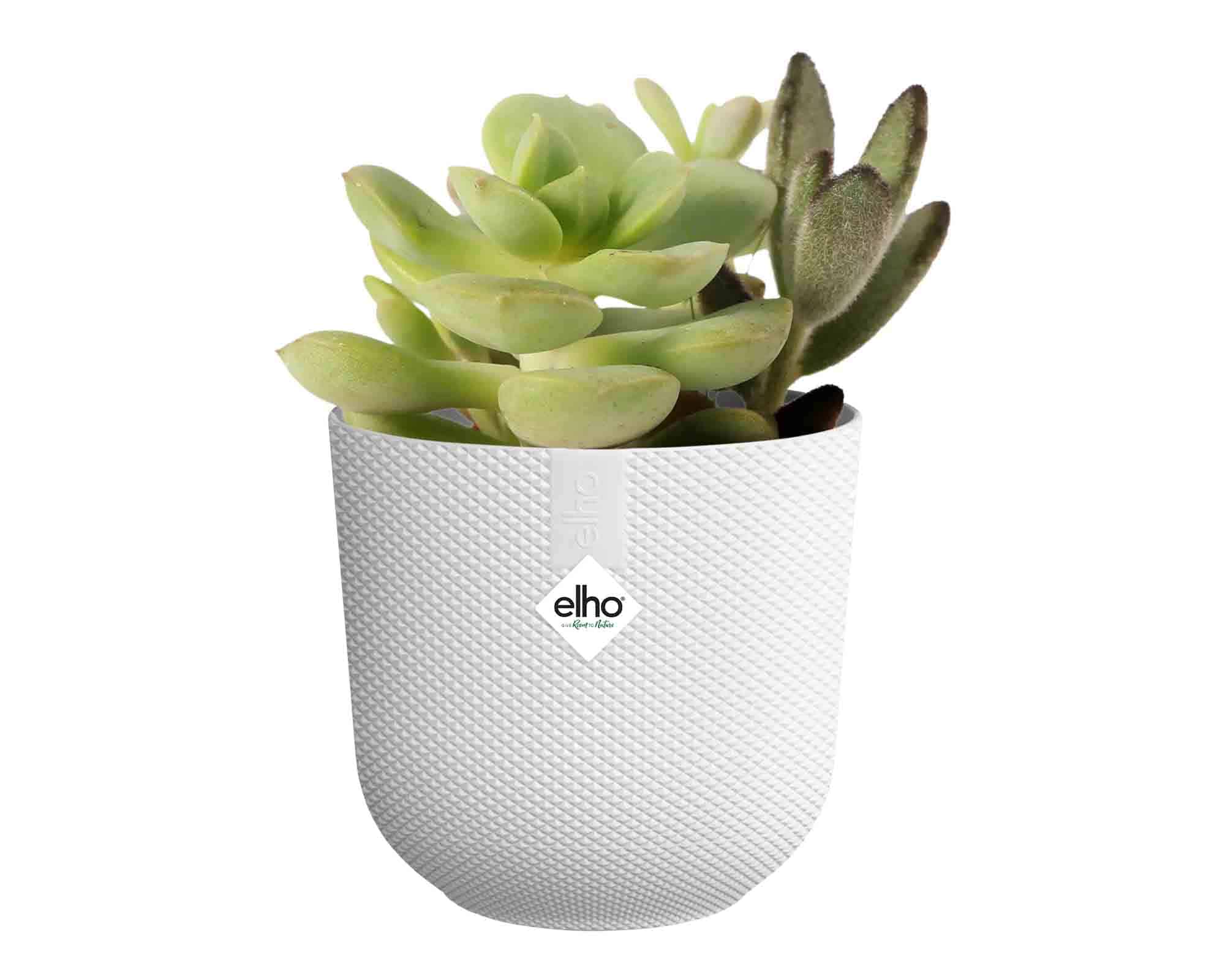 Cachepot Tondo Jazz Mini Bianco D11x10cm in Plastica Riciclato - Elho - immagine 3