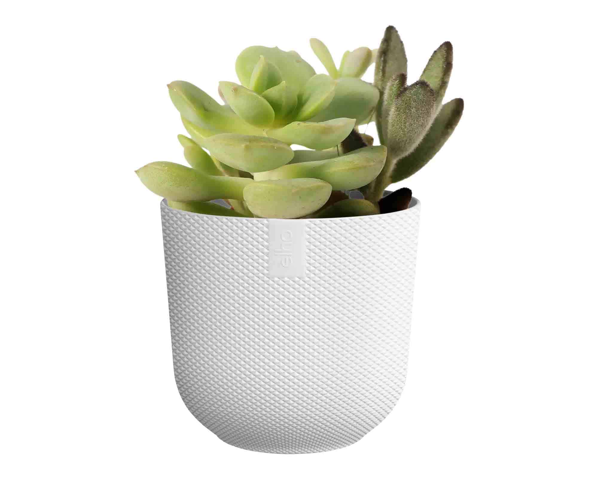 Cachepot Tondo Jazz Mini Bianco D11x10cm in Plastica Riciclato - Elho - immagine 4