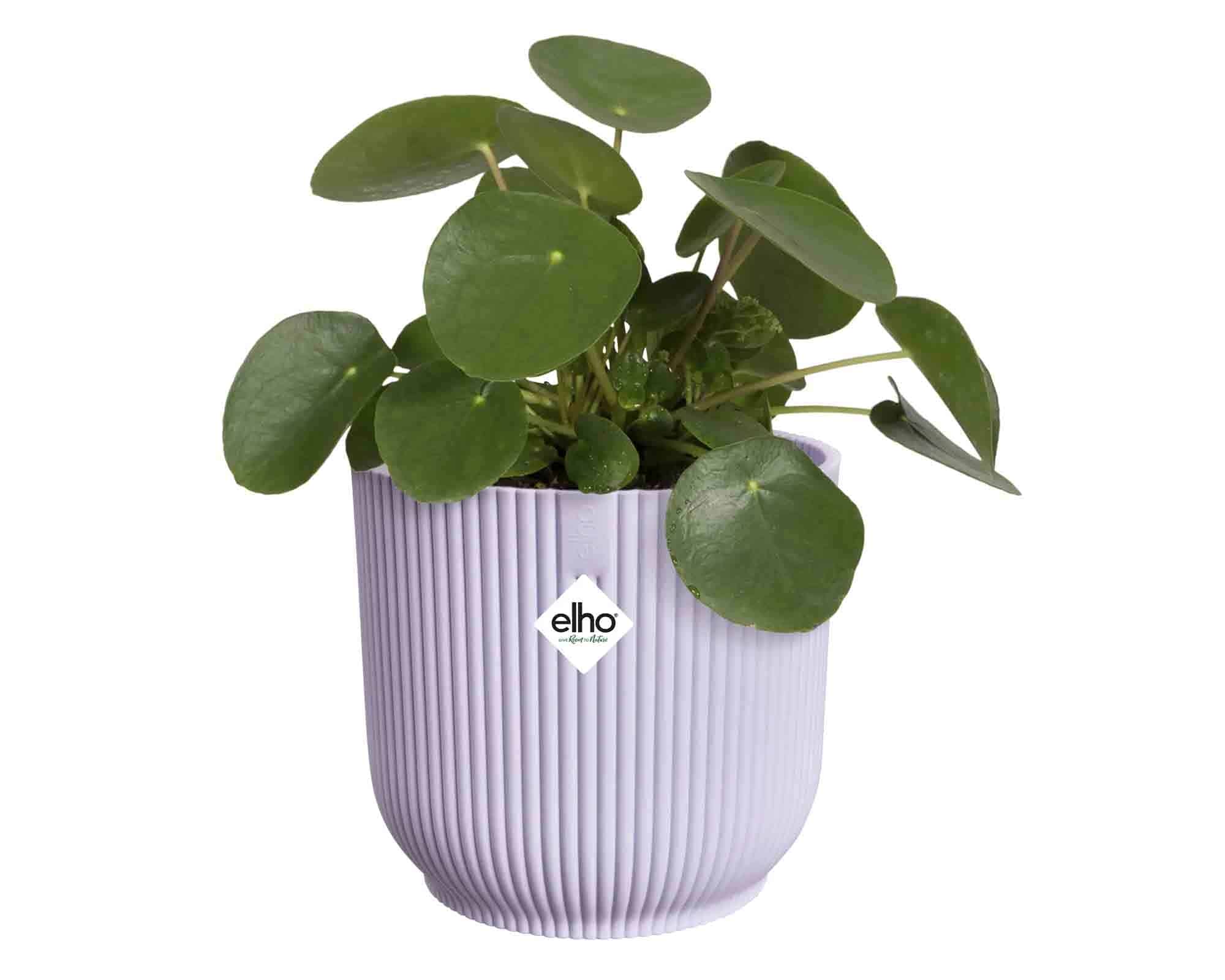 Cachepot Tondo Vibes Lilla D14x13cm - Elho - immagine 4