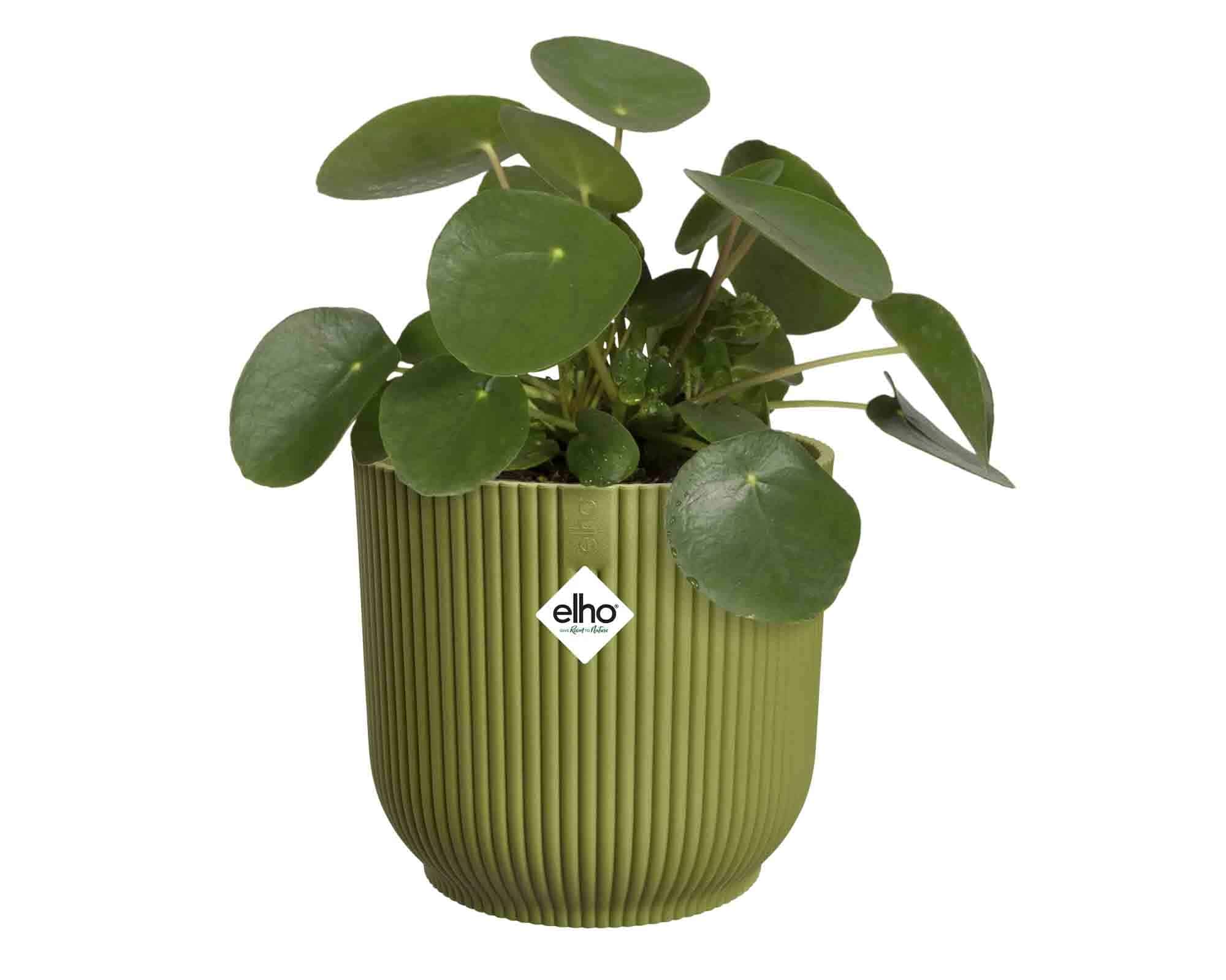 Cachepot Tondo Vibes Fold Verde Felce D22x20cm in Plastica Riciclato - Elho - immagine 4