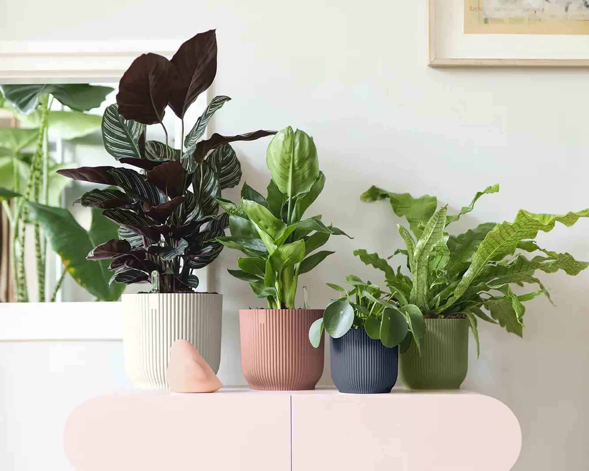 Cachepot Tondo Vibes Fold Verde Felce D22x20cm in Plastica Riciclato - Elho - immagine 6