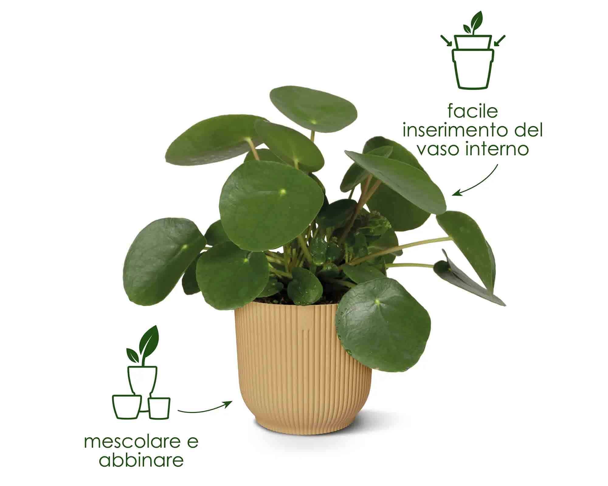 Cachepot Tondo Vibes Fold Verde Felce D22x20cm in Plastica Riciclato - Elho - immagine 8