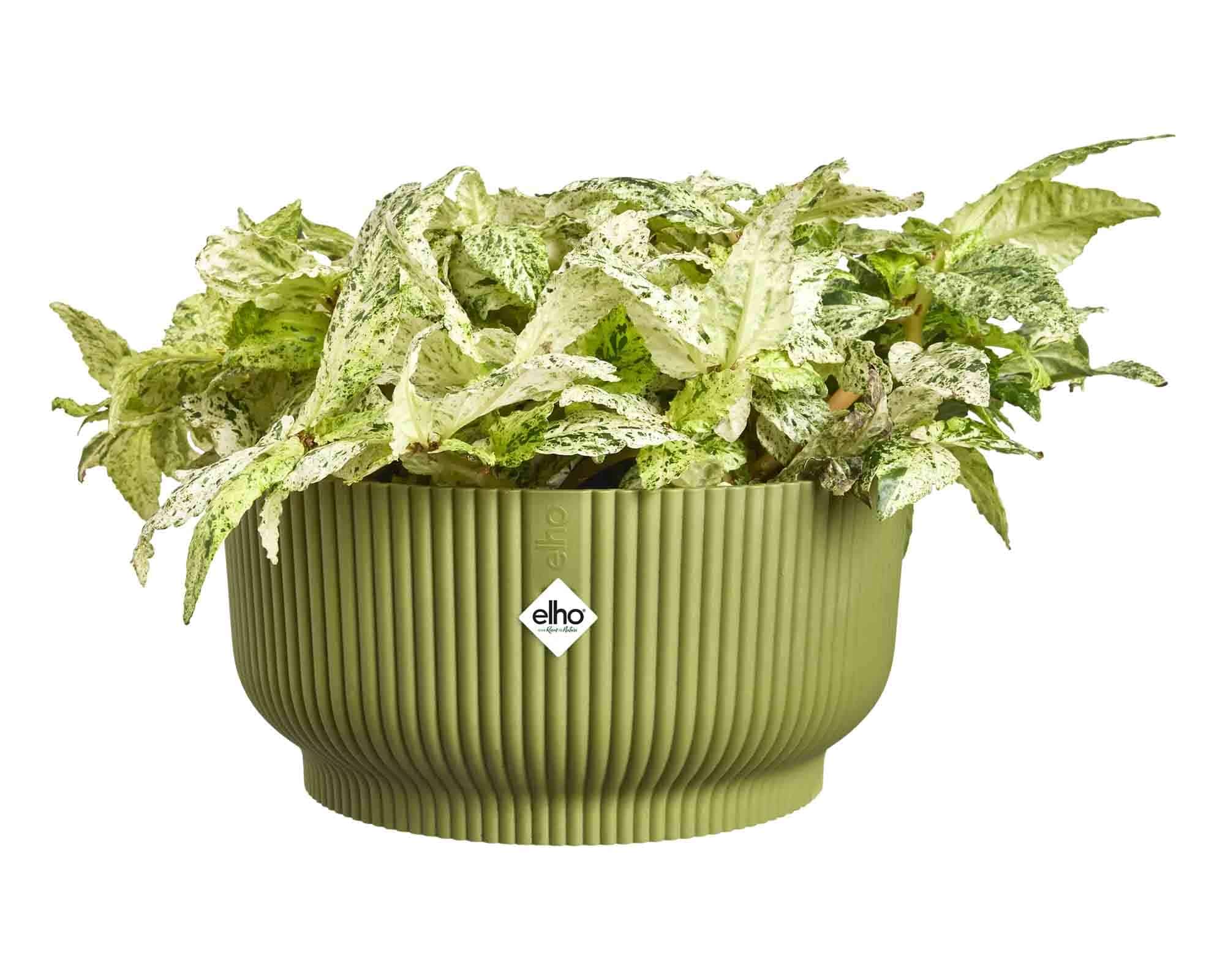 Cachepot Ciotola Vibes Fold Verde Felce D25x12cm in Plastica Riciclato - Elho - immagine 3