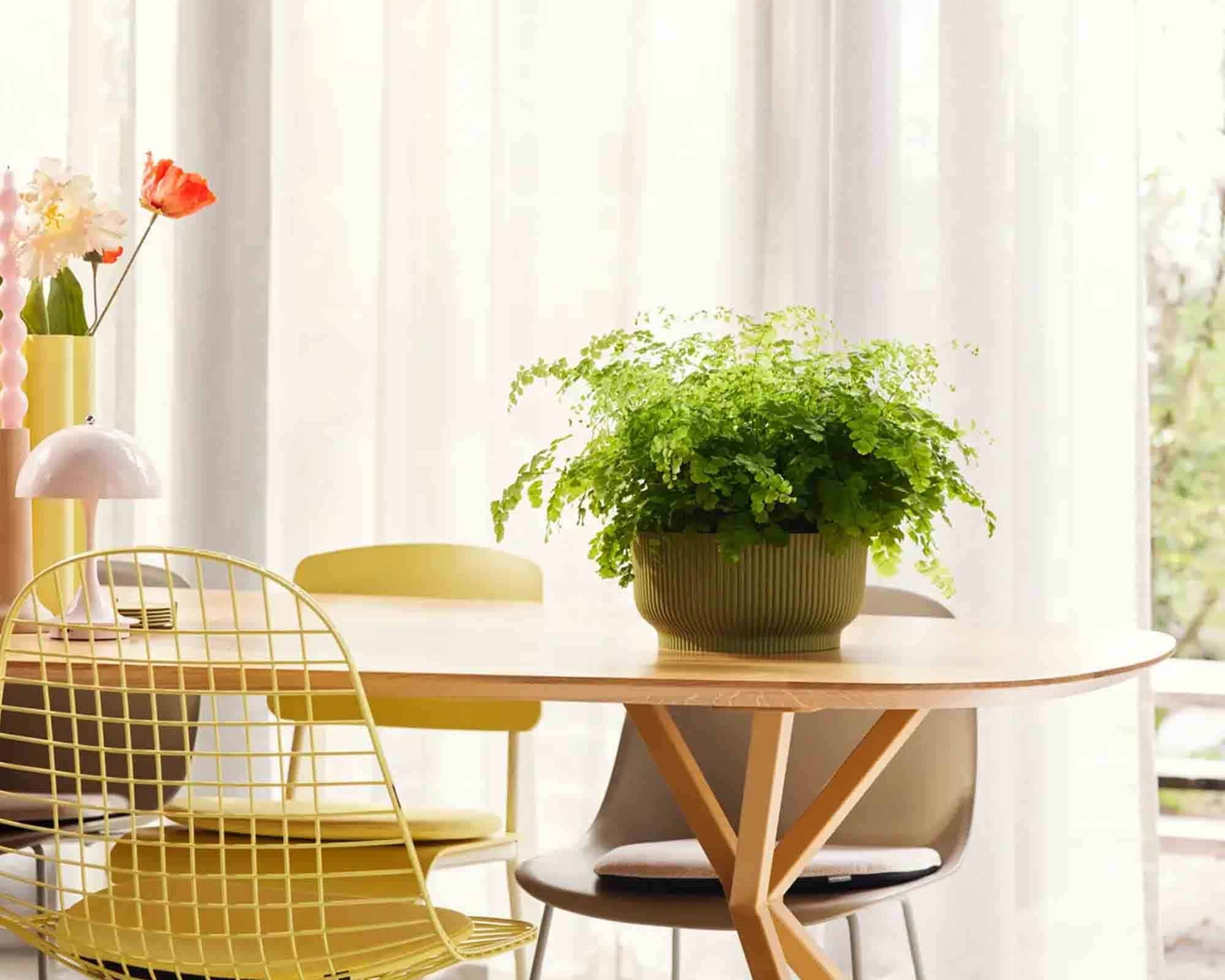Cachepot Ciotola Vibes Fold Verde Felce D25x12cm in Plastica Riciclato - Elho - immagine 6