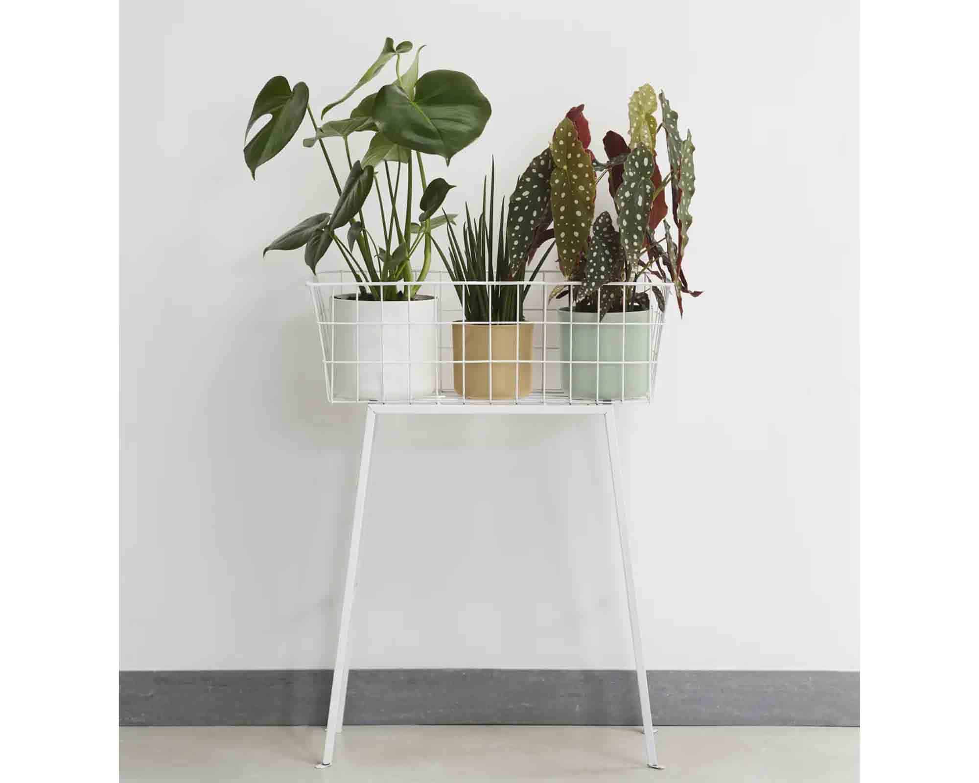 Cachepot B For Soft Sabbia Dorata D14x13cm in Plastica Riciclato - Elho - immagine 6