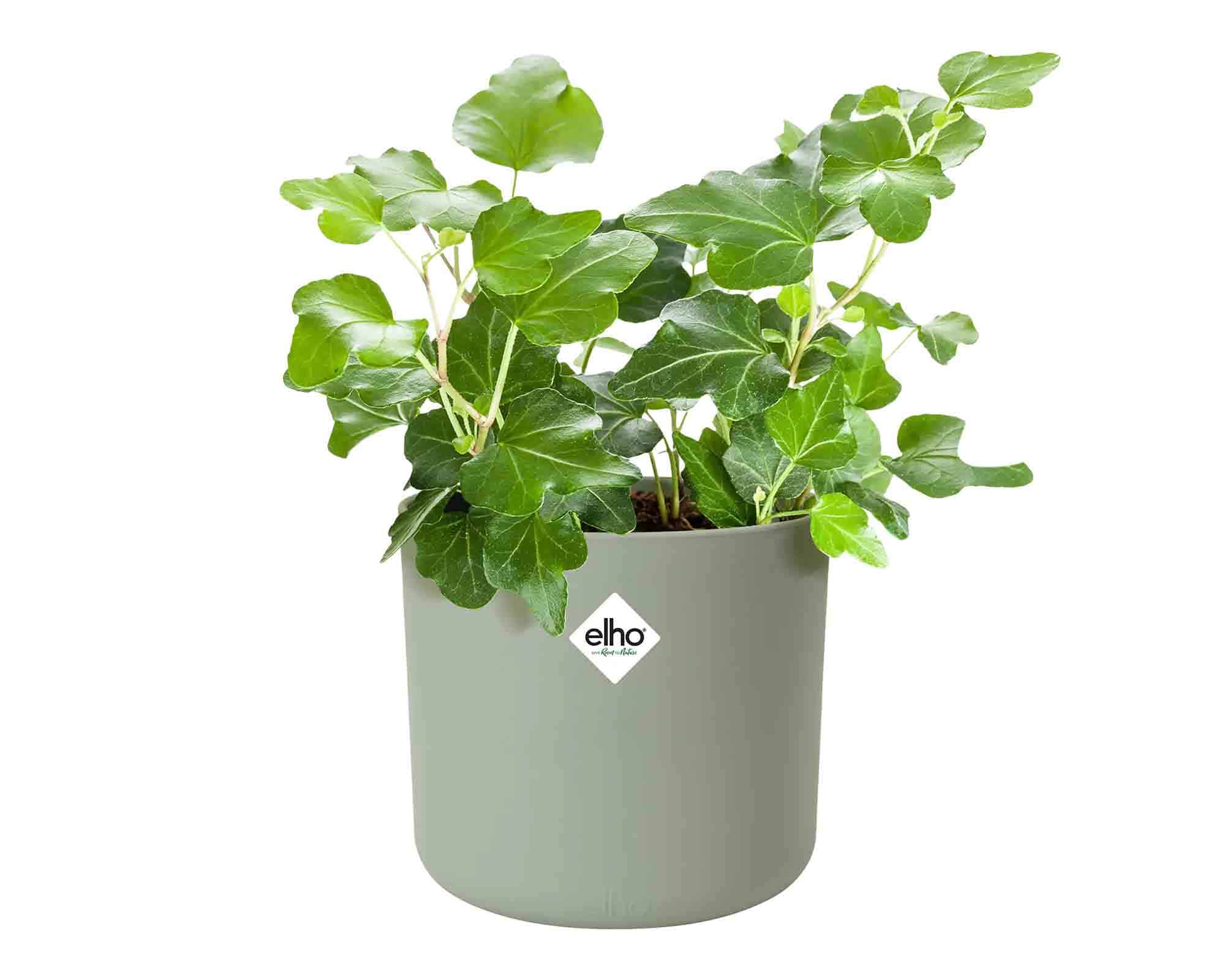 Cachepot B For Soft Verde Pietra D16x15cm in Plastica Riciclato - Elho - immagine 3