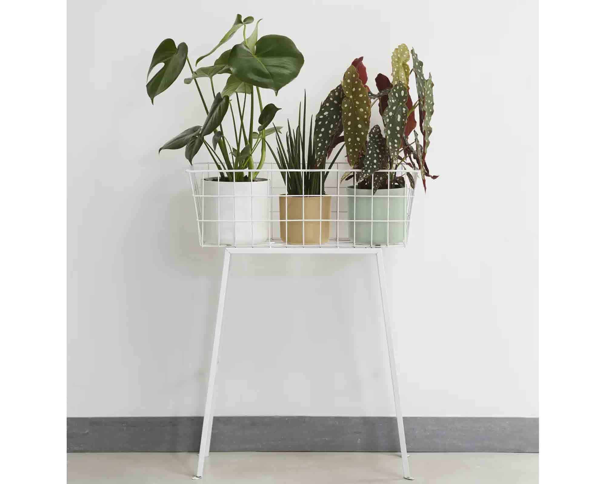 Cachepot B For Soft Verde Pietra D16x15cm in Plastica Riciclato - Elho - immagine 6