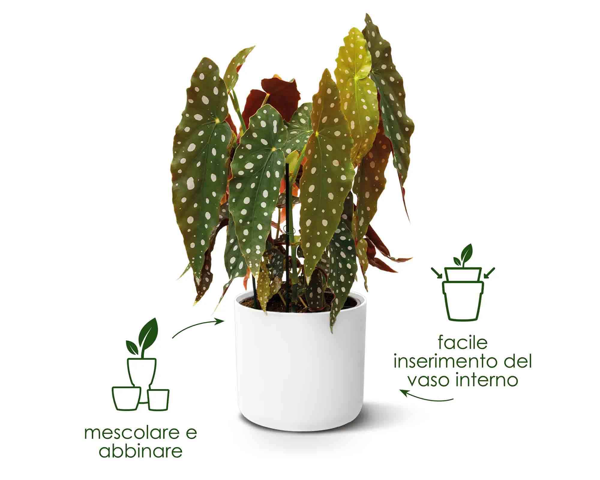 Cachepot B For Soft Verde Pietra D16x15cm in Plastica Riciclato - Elho - immagine 7