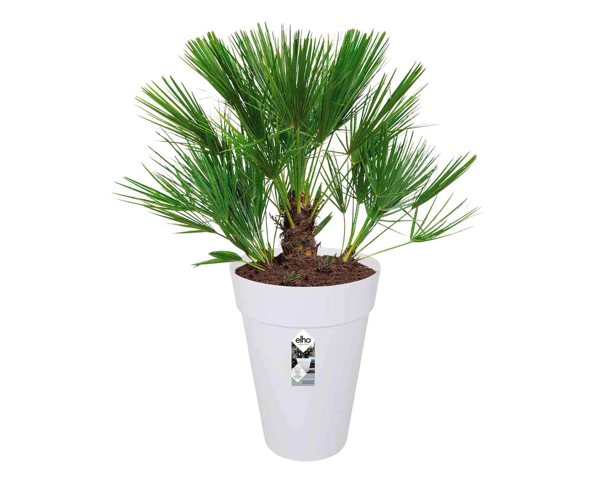 Vaso Loft Urban High Bianco D42x56cm in Plastica Riciclata - Elho - immagine 3