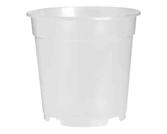 Cachepot Tondo per Orchidea Trasparente D21cm in Plastica – Elho