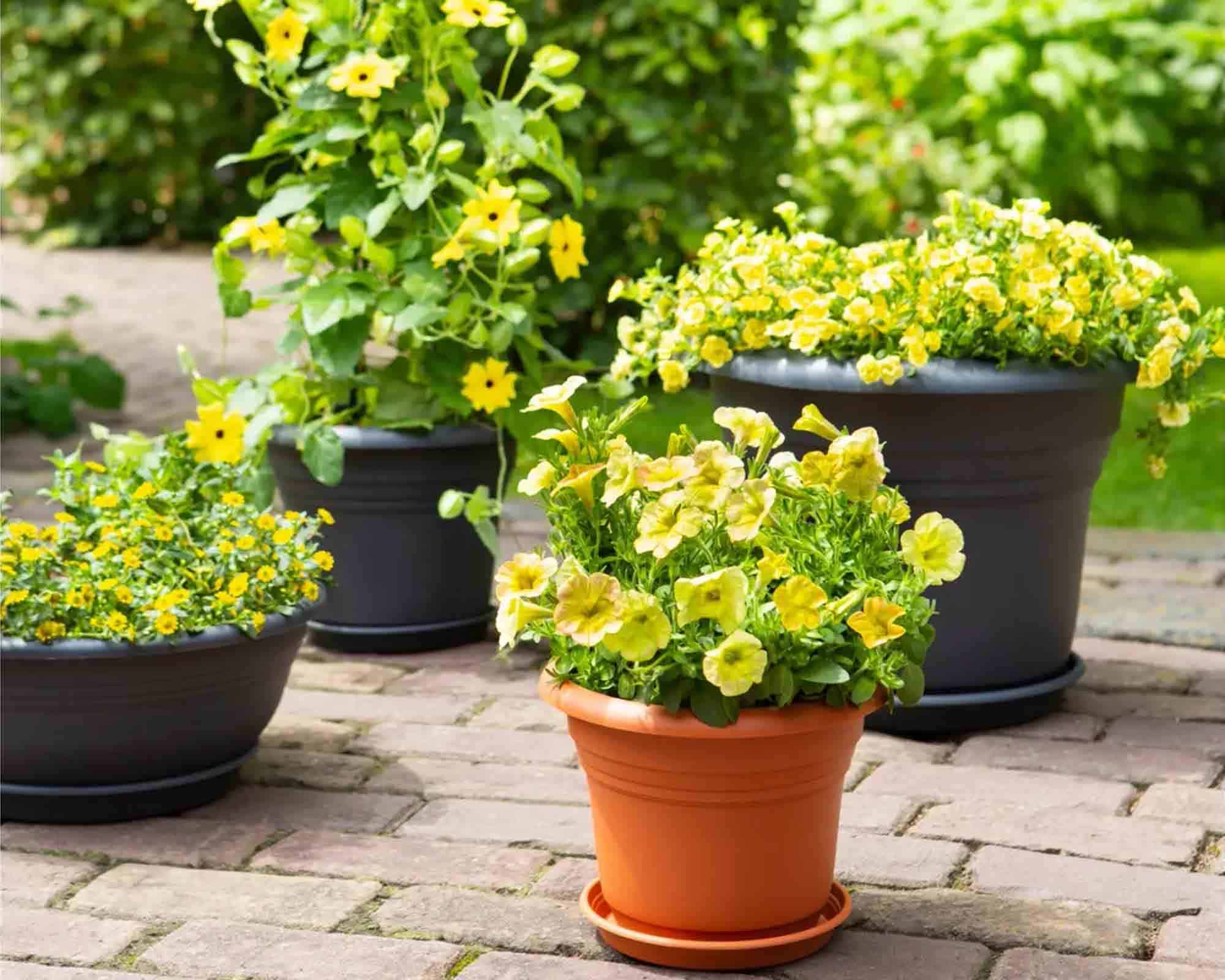 Vaso Campana Mediterran Antracite D55cm in Plastica Riciclata - Elho - immagine 3