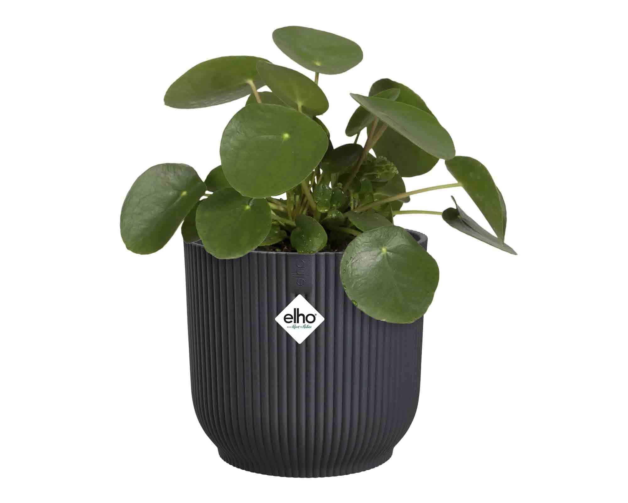 Cachepot Tondo Vibes Antracite D18x17cm in Plastica Riciclato - Elho - immagine 4