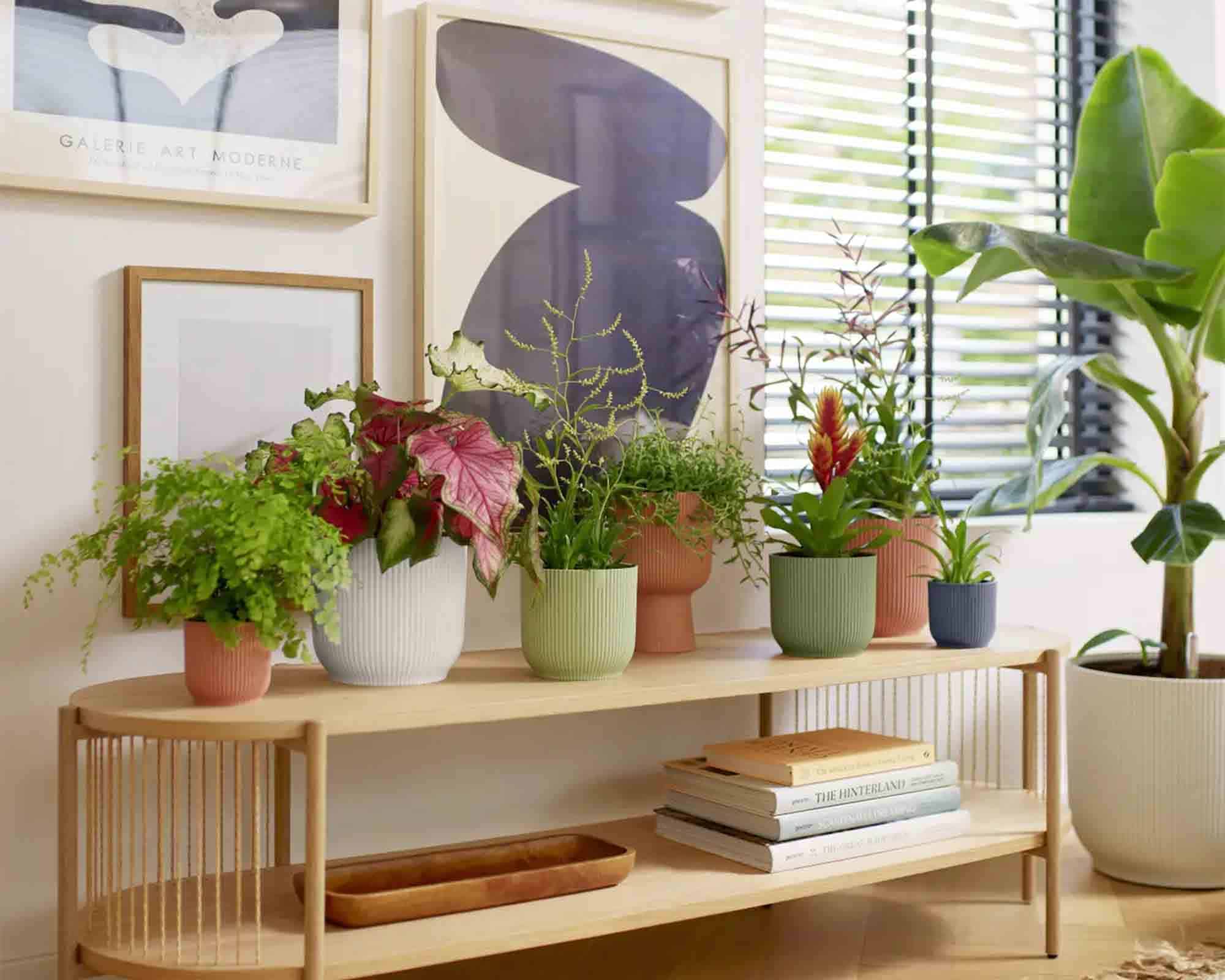 Cachepot Tondo Vibes Antracite D18x17cm in Plastica Riciclato - Elho - immagine 6