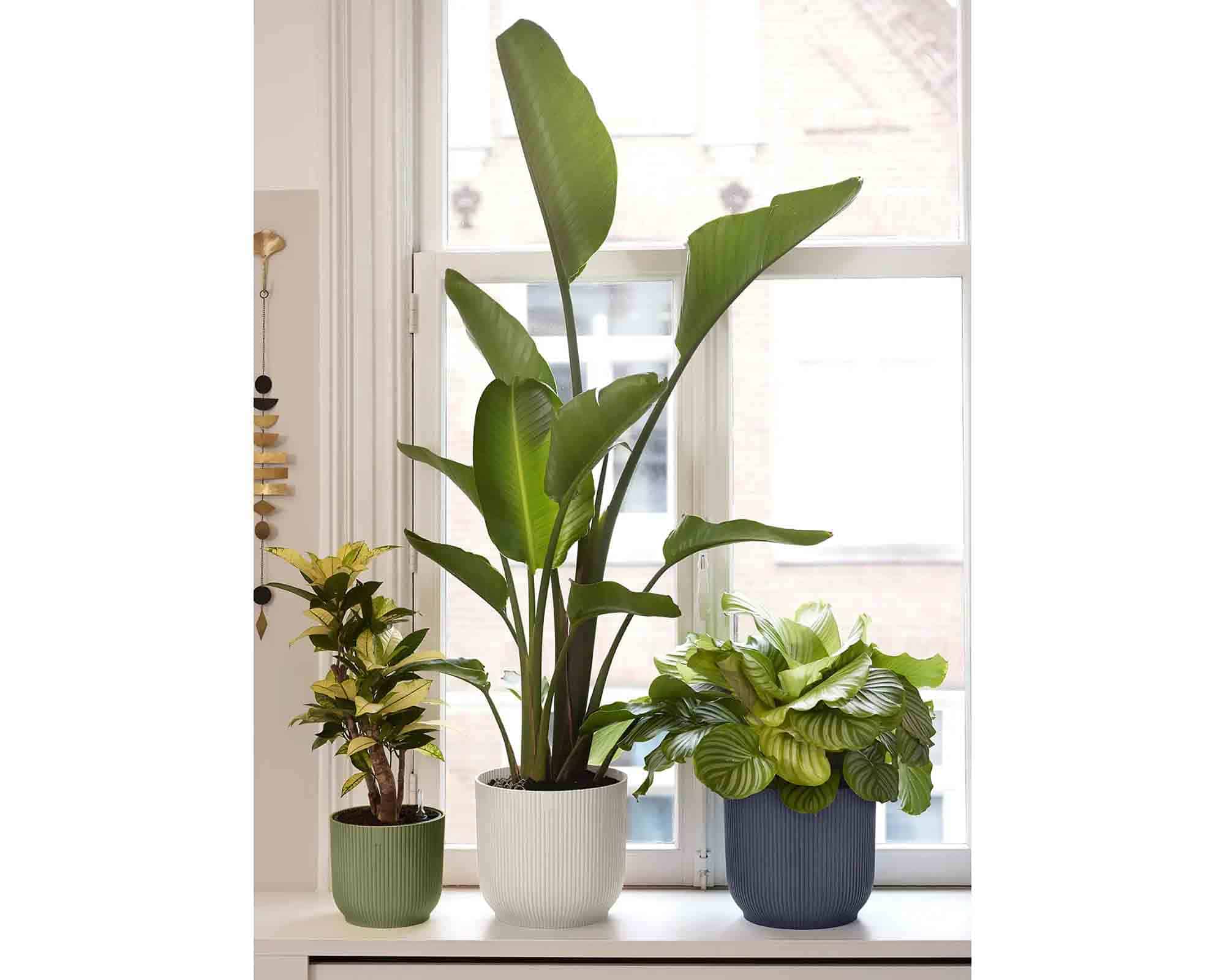 Cachepot Tondo Vibes Antracite D18x17cm in Plastica Riciclato - Elho - immagine 7