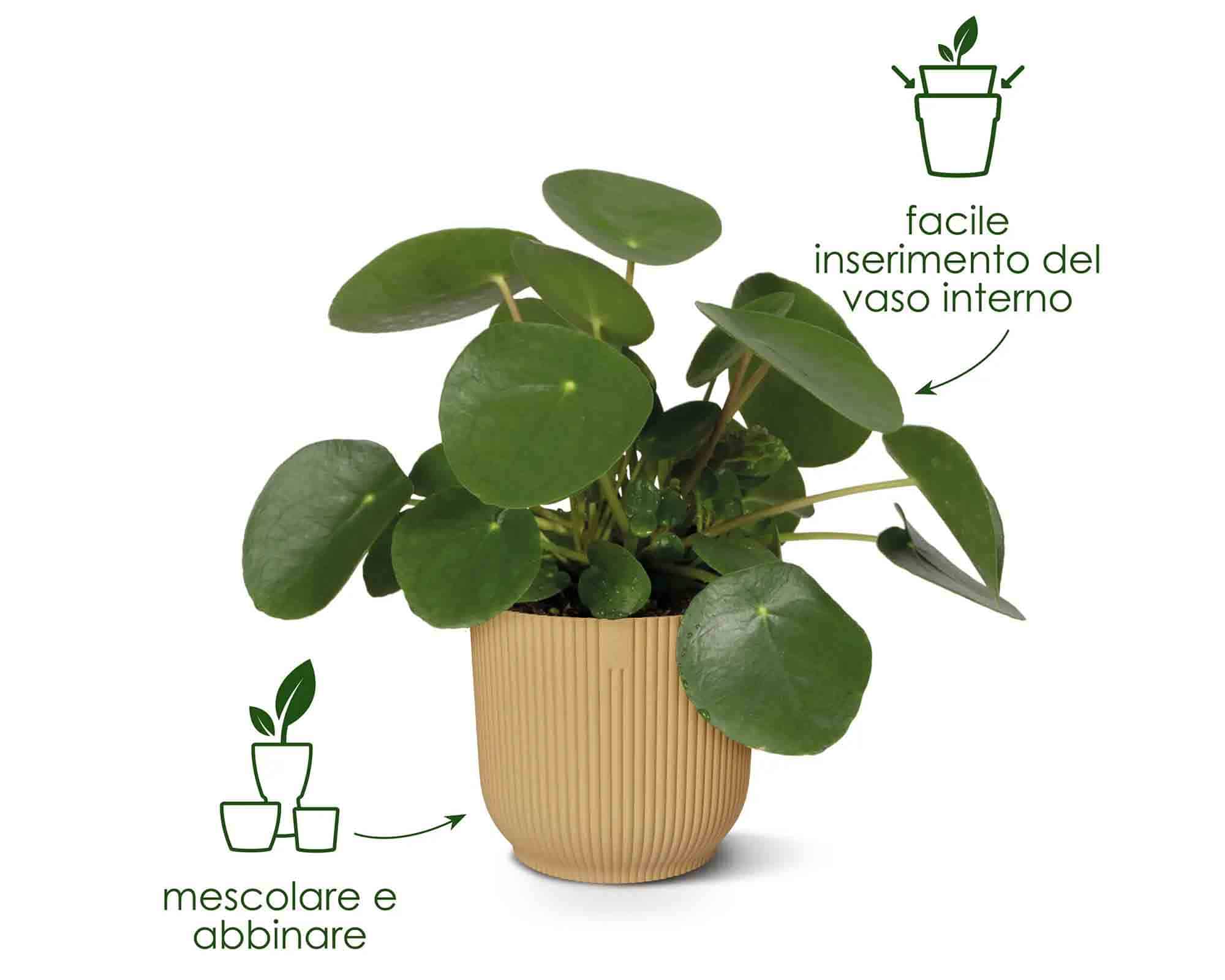 Cachepot Tondo Vibes Antracite D18x17cm in Plastica Riciclato - Elho - immagine 8