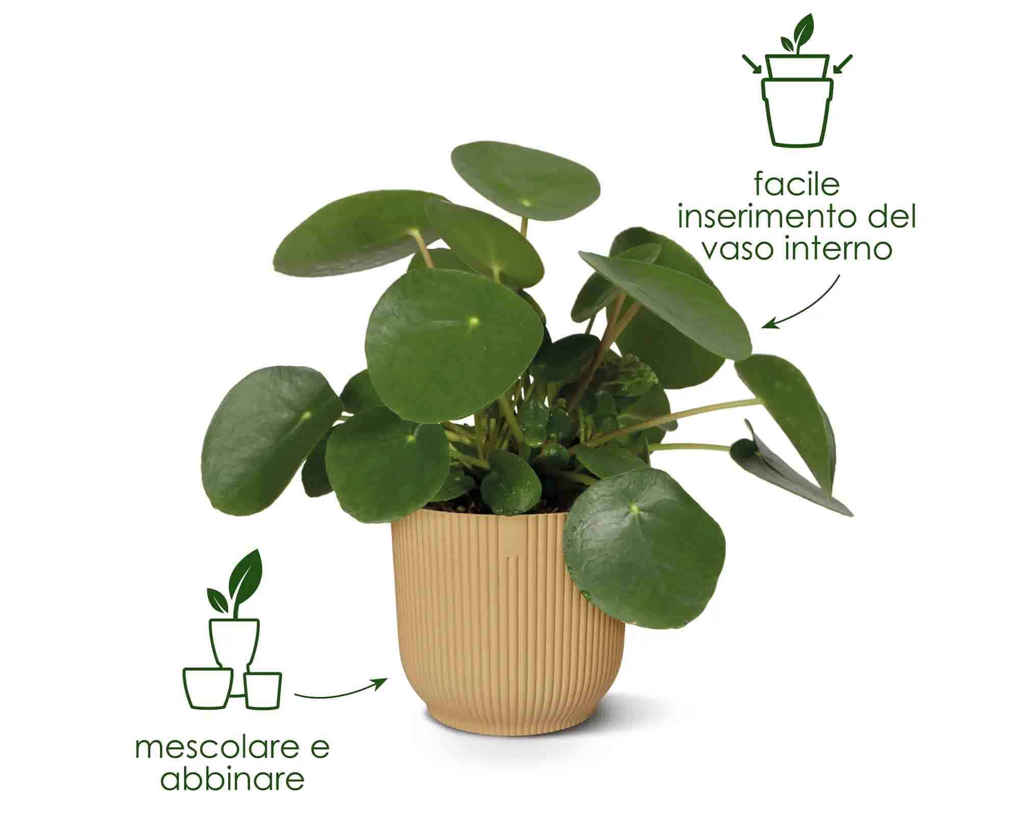 Cachepot Tondo Vibes Bianco Lino D18x17cm in Plastica Riciclato - Elho - immagine 9