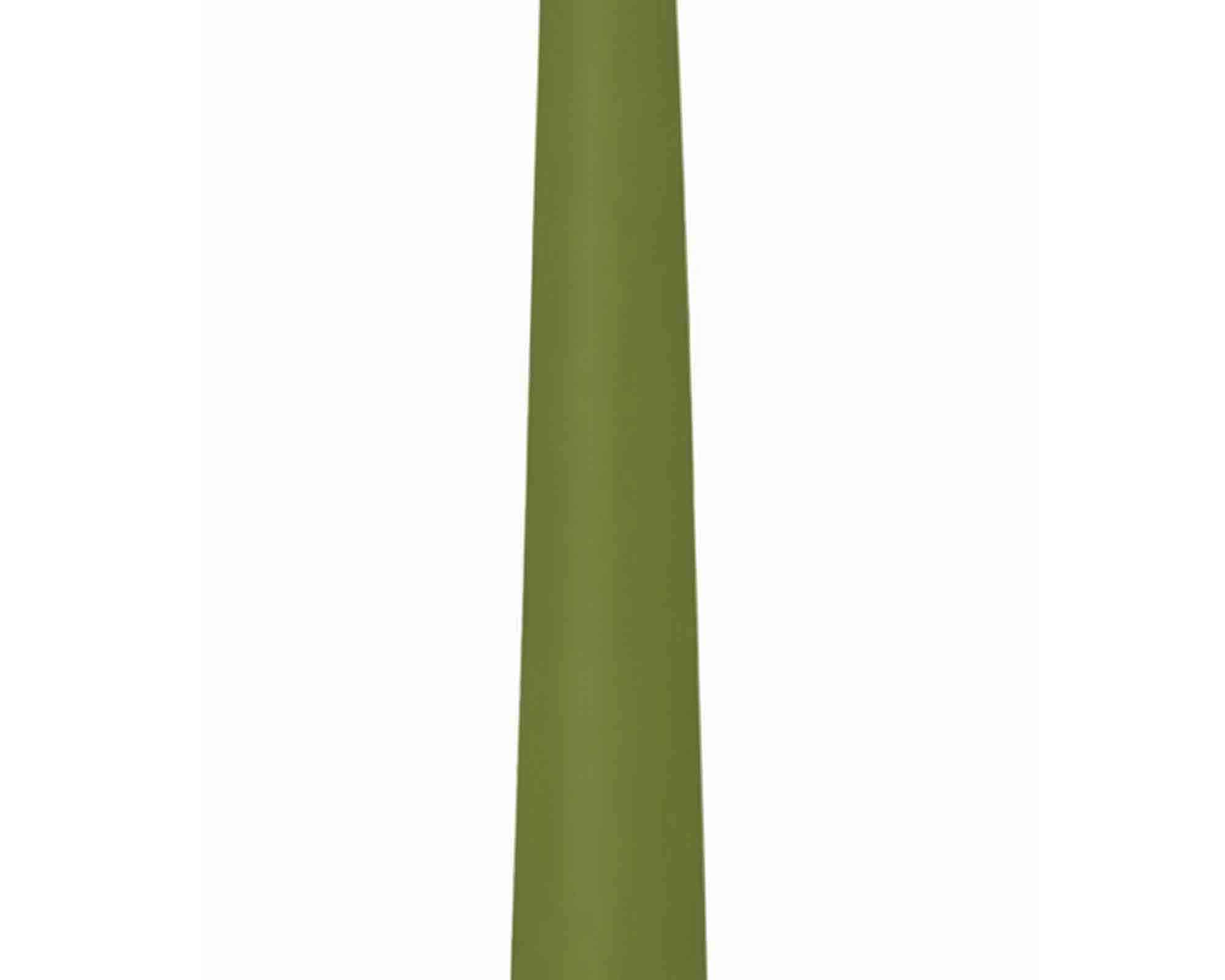 Candela Conica con Cellofan Oliva D2,5x25cm in Cera - Wiedemann - immagine 2