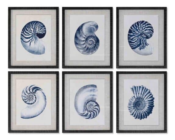 Quadro Rettangolare con Conchiglia 50x2x60cm in Legno di Abete e Cristallo – Item