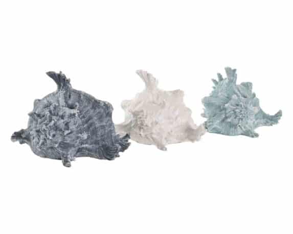 Decorazione Conchiglia Assortito 22x16x22cm in Resina – Item