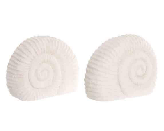 Decorazione da Appoggio Conchiglia Assortito 22x8x25cm in Cemento – Item