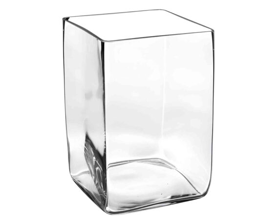 Vaso Quadrato Versatile, Pratica e Resistente 8x12x15cm in Vetro