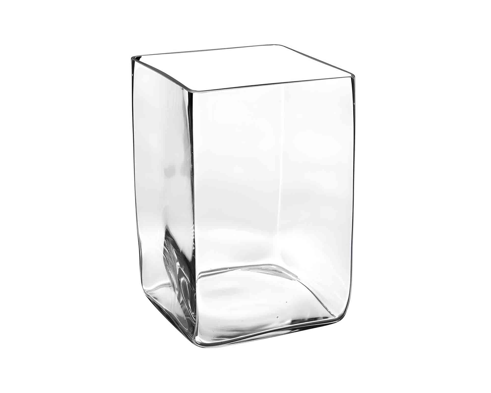 Vaso Quadrato Versatile, Pratica e Resistente D20x20x30cm in Vetro