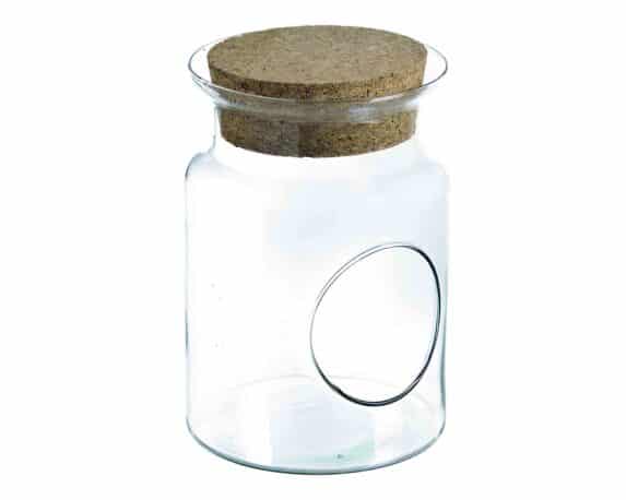 Terrario Portapianta Moderno e Resistente D14x22cm in Vetro e Sughero