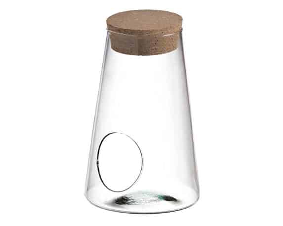 Terrario Portapianta Moderno e Resistente D20x30cm in Vetro e Sughero