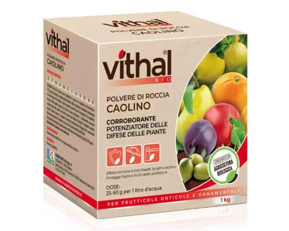 Potenziatore delle Difese Naturali Vithal Bio Caolino da 1Kg