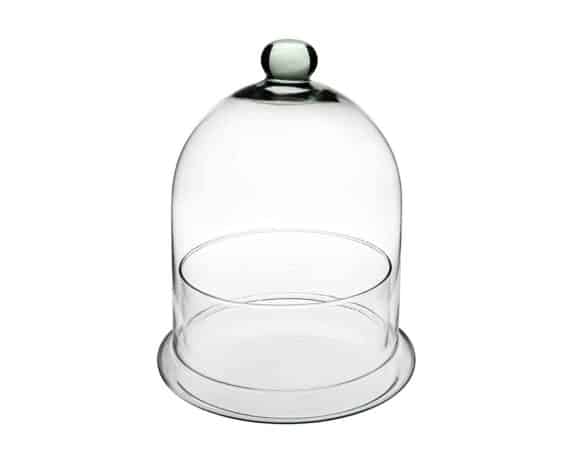 Terrario Portapianta a Cupola Moderno e Resistente D19x25cm in Vetro