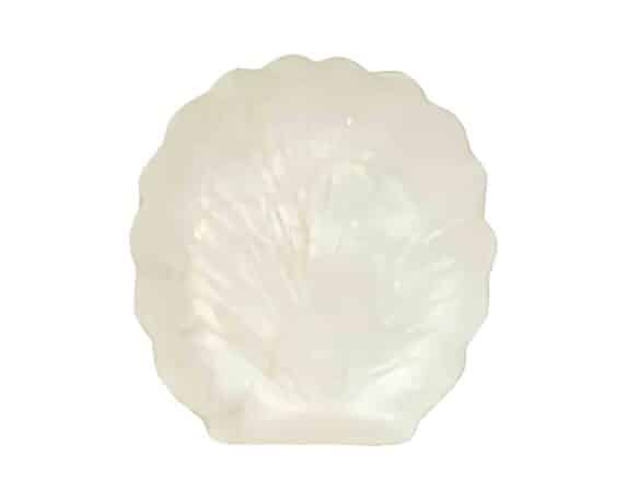 Piatto Decorativo a Forma di Conchiglia Small D15x1cm in Capiz – Kaemingk