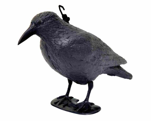 Corvo Spaventapasseri Spaventapasseri in Plastica – VerdeMax