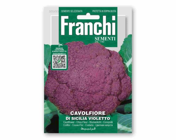 Semi di Cavolfiore di Sicilia Violetto Orto – Franchi sementi