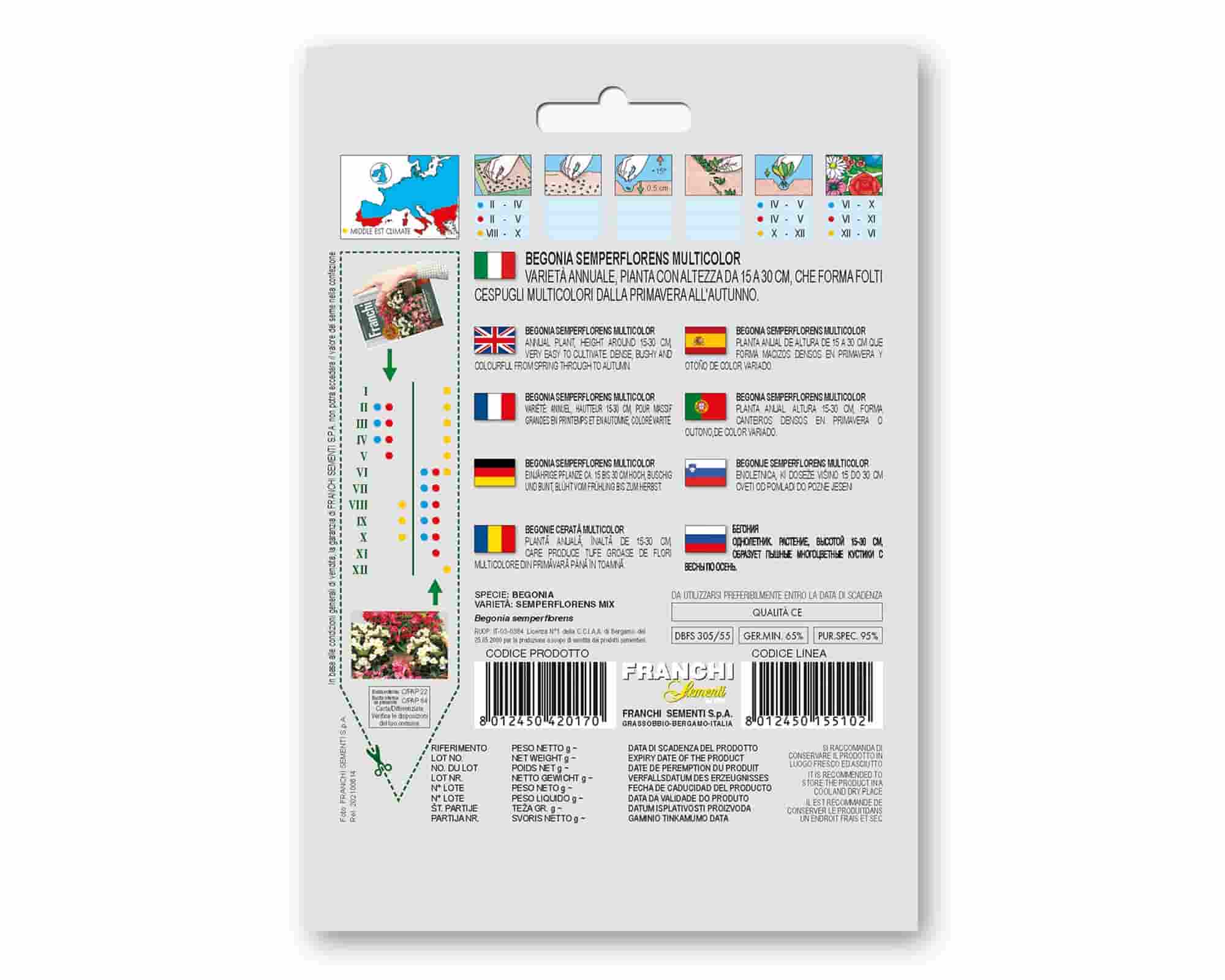 Semi di Begonia Semperflor Golden Line - Franchi sementi - immagine 2