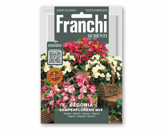 Semi di Begonia Semperflor Golden Line – Franchi sementi