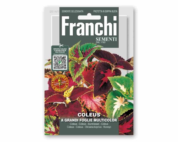 Semi di Coleus Grandi Fiori Golden Line – Franchi sementi