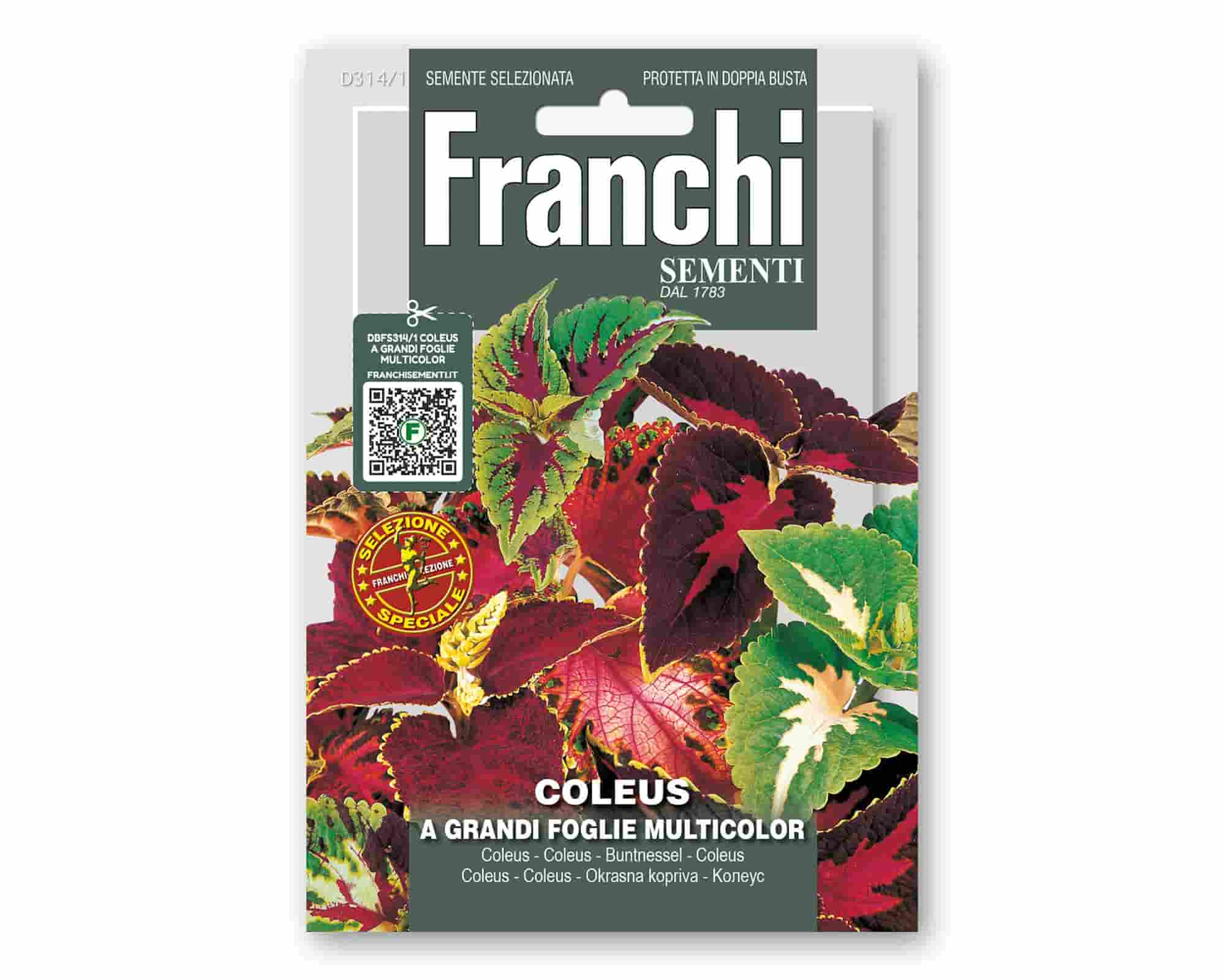 Semi di Coleus Grandi Fiori Golden Line - Franchi sementi