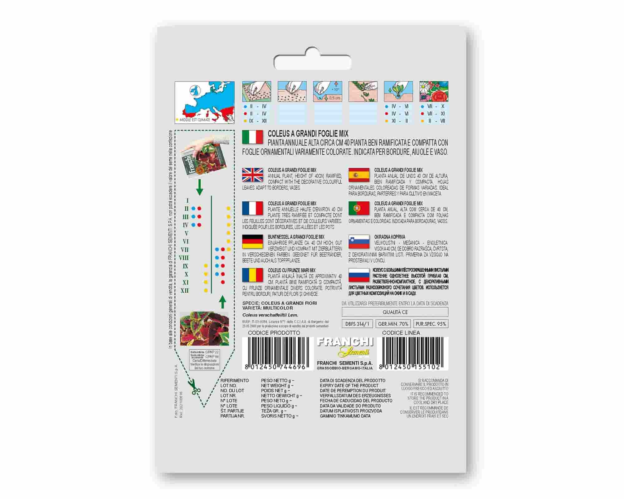 Semi di Coleus Grandi Fiori Golden Line - Franchi sementi - immagine 2