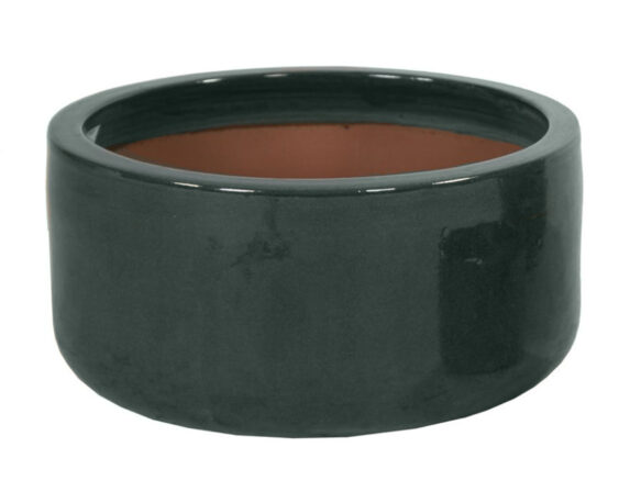 Ciotola Moss Smaltata Verde Piccola D21x10cm in Ceramica – Mega Collections