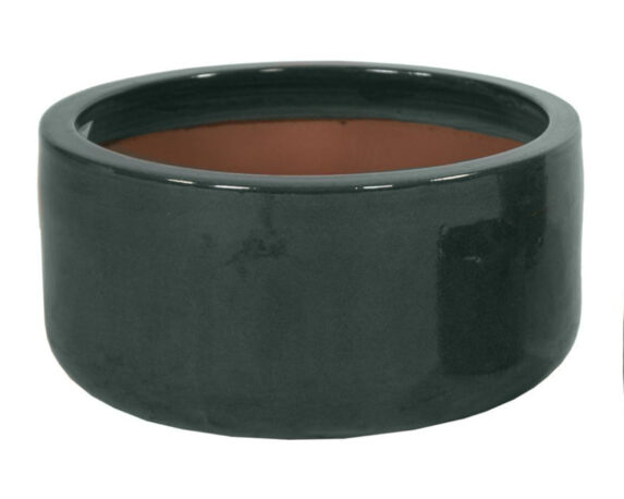 Ciotola Moss Smaltata Verde Media D31x15cm in Ceramica – Mega Collections