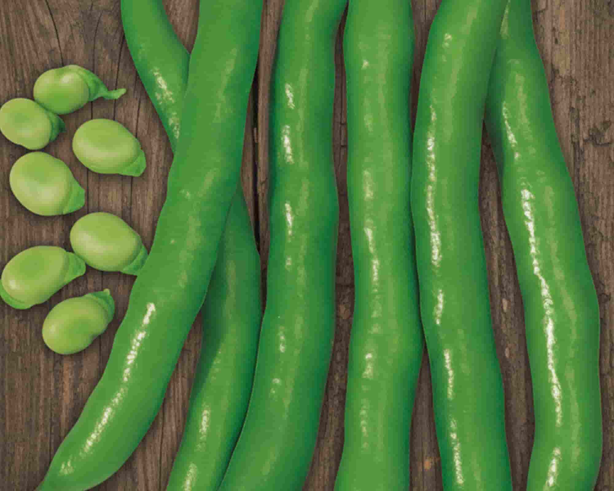 Semi di Fava Aguadulce Supersimonia - Franchi sementi - immagine 3