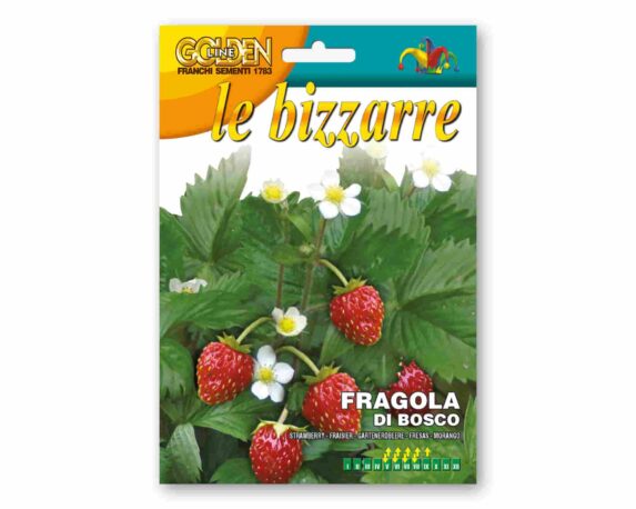Semi di Fragola di Bosco Line Bizarre – Franchi sementi