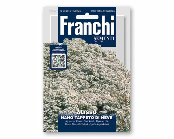 Semi di Alisso Nano Tappeto di Neve Doppia Bustina – Franchi sementi