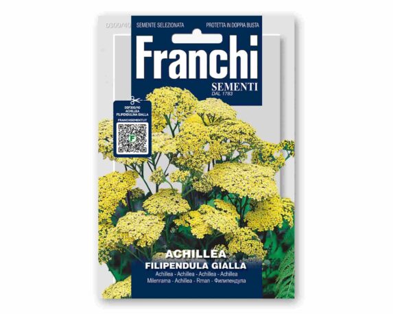 Semi di Achillea Filipendulina Gialla Doppia Bustina – Franchi sementi