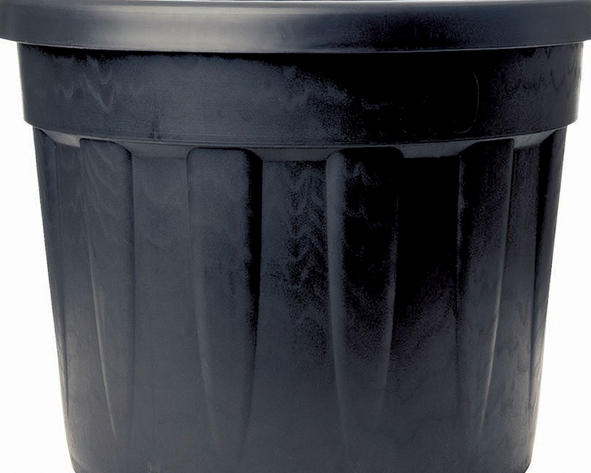 Vaso Fenice Nero D78x53cm in Plastica - immagine 2