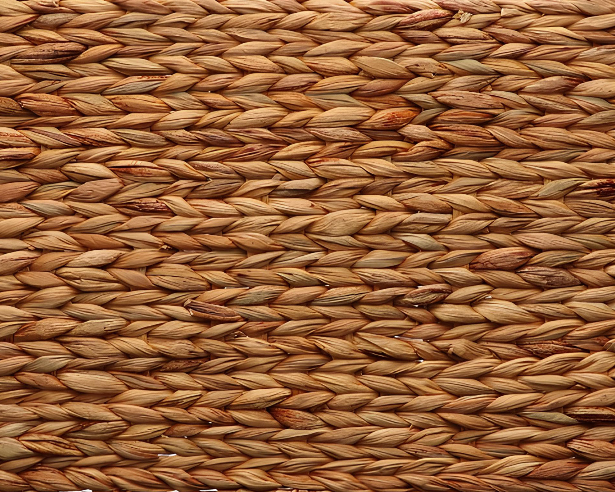 Tovaglietta Elios Naturale 45x30cm in Giacinto d’Acqua - immagine 2