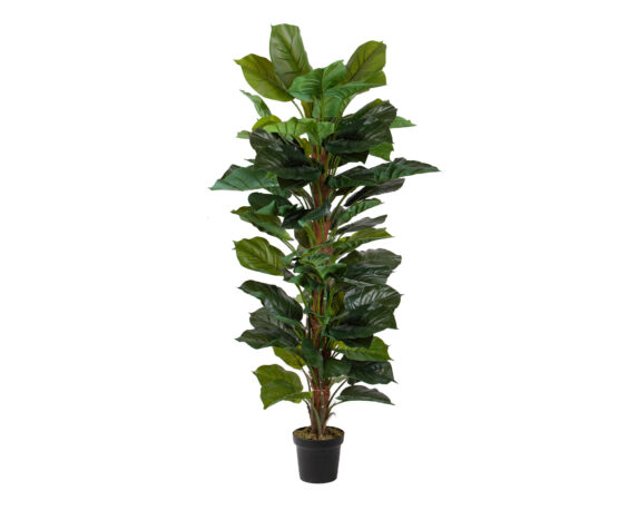 Pothos con Vaso e Tutore D35x150cm Pianta Artificiale in Plastica e Poliestere