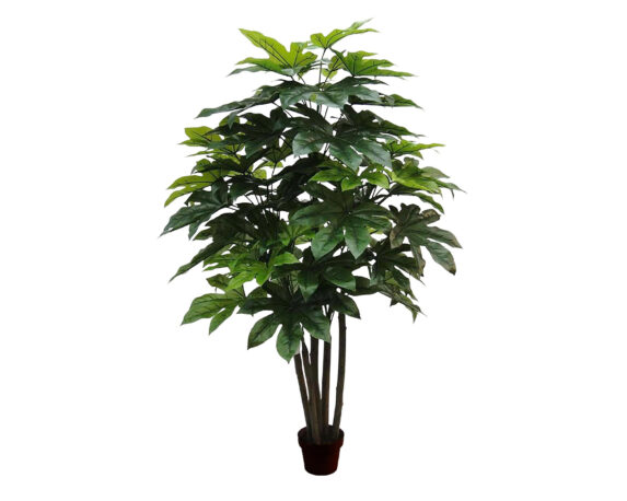 Aralia con Vaso D57x180cm Pianta Artificiale in Plastica e Poliestere