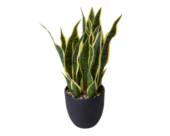 Sanseveria con Vaso D15x48cm Pianta Artificiale in Plastica e Poliestere