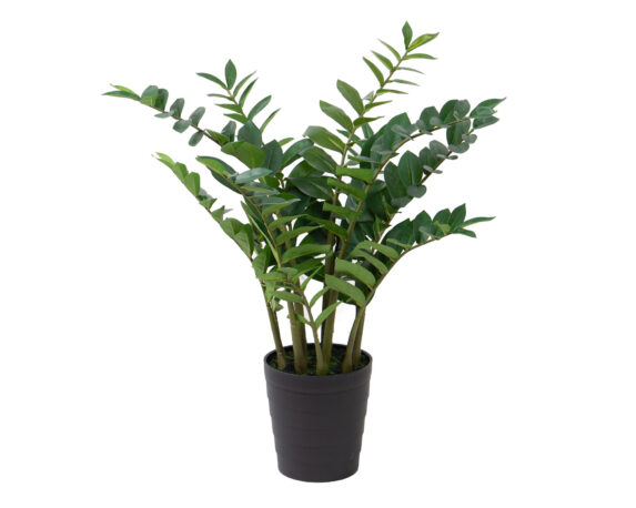 Zamifolia con Vaso Real Touch con 210 Foglie D70x95cm Pianta Artificiale in Plastica e Poliestere